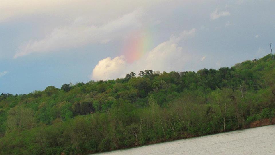 Elder Mountain Room At Tennessee Riverplace Τσαττανούγκα Εξωτερικό φωτογραφία