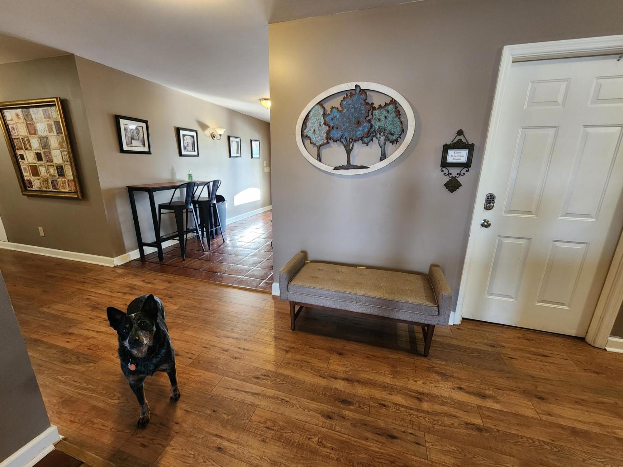 Elder Mountain Room At Tennessee Riverplace Τσαττανούγκα Εξωτερικό φωτογραφία